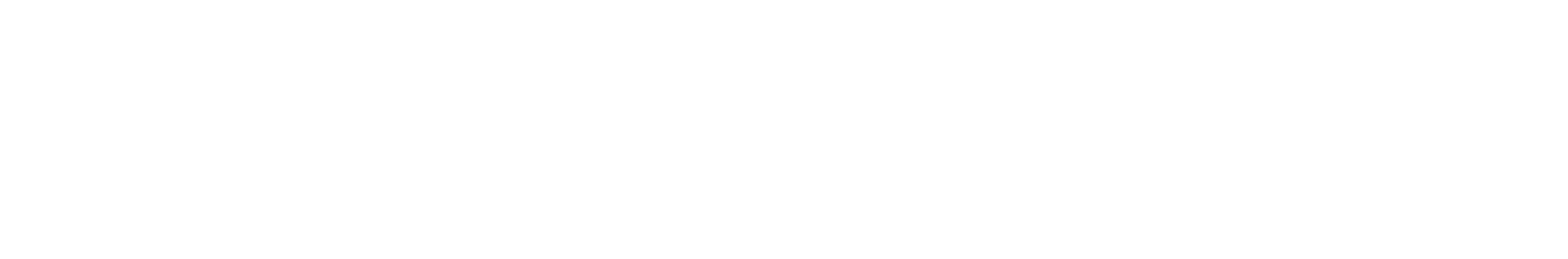 emerald logo white nospace